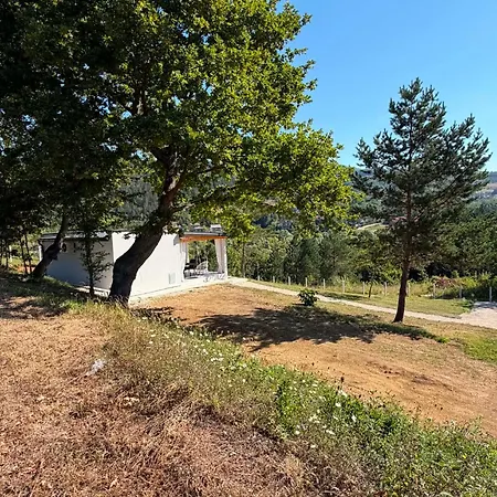 Casa Bella Яйце